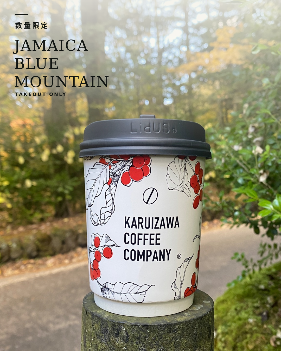 KARUIZAWA COFFEE COMPANYで提供するジャマイカ・ブルーマウンテン